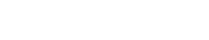 Newton by Outline