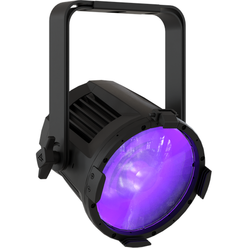EclPar IPMUV