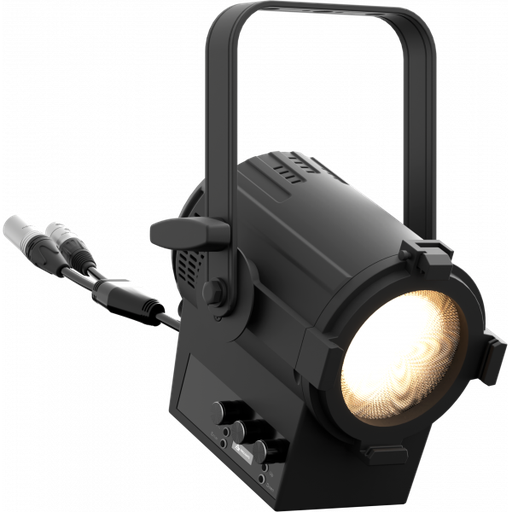 EclMiniFresnel VW
